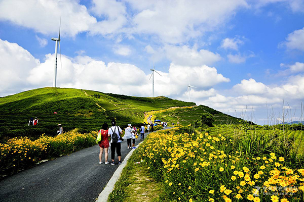 奉化--鄞州交接風車公路.jpg